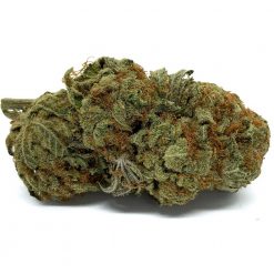 Zombie Kush