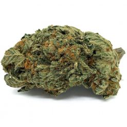 Cali Bubba