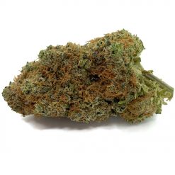 Lamb's Breath