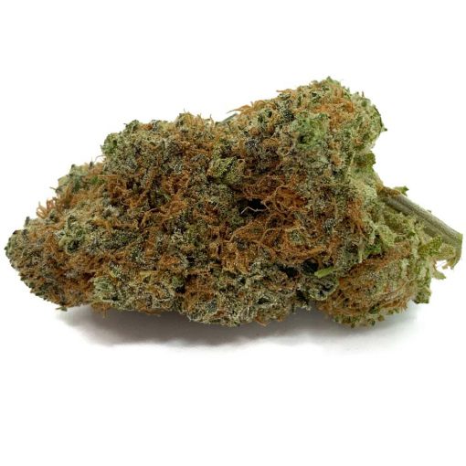 Lamb's Breath