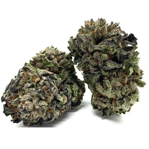 Purple Kush - Image 2