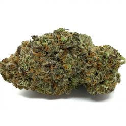 Nuken