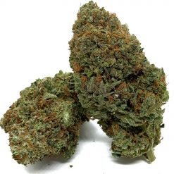 Super Lemon Haze