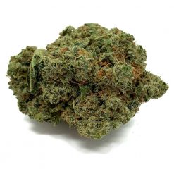 Trainwreck