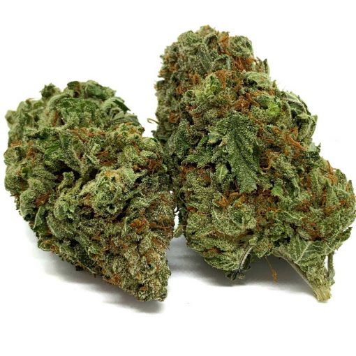 Tuna Kush - Image 2