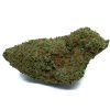 El-Dorado-Hybrid-Flowers-Fantastic-Weeds