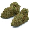 El-Dorado-Hybrid-Flowers-Fantastic-Weeds-2