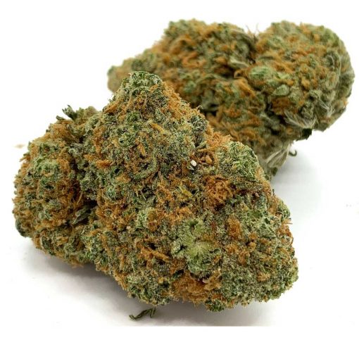 Romulan - Image 2