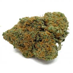 Romulan