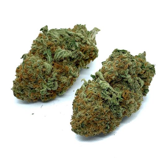 Sherbet - Image 2