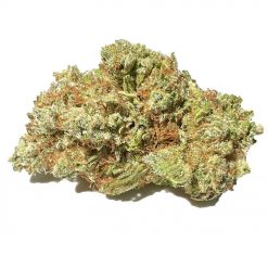 Violator Kush