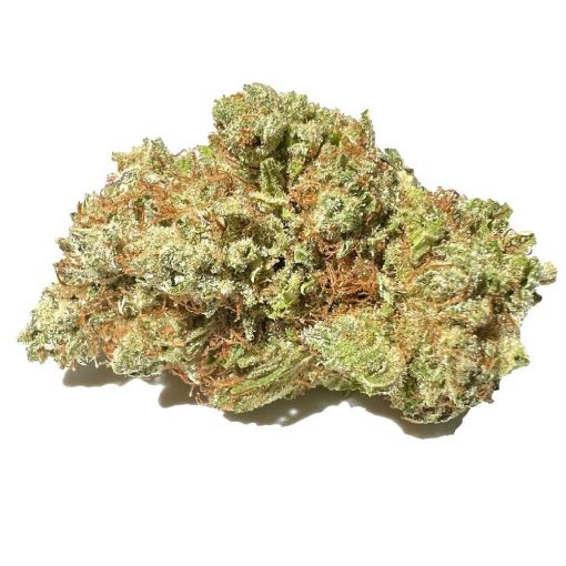 Violator Kush