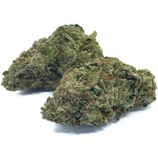 Animal Mints - Image 2