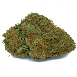 Tutti Frutti