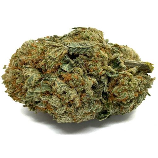 OG Kush