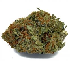 Tuna Rock