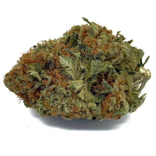 Tuna Rock