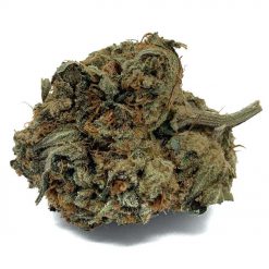 King Bubba
