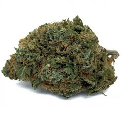 Lemon OG