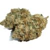 Northern Lights