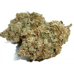 Northern Lights