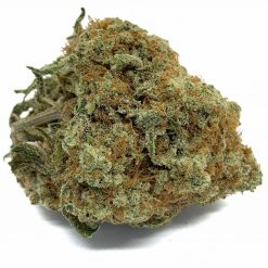 OG Shark