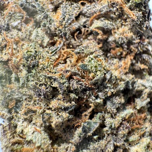 Presidential Kush - Image 2