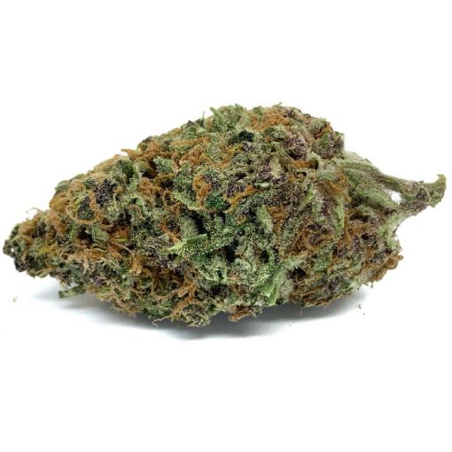 Purple Queen