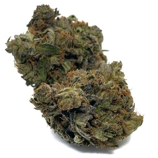 White Russian - Image 2