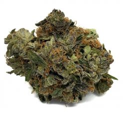 White Russian