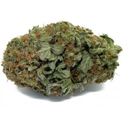 Pink Bubba