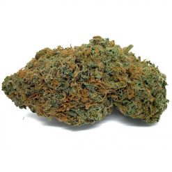Pink Gelato
