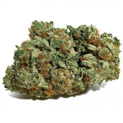 Gorilla OG