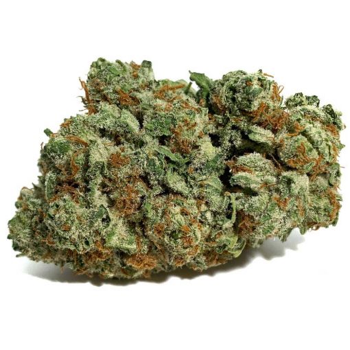 Gorilla OG