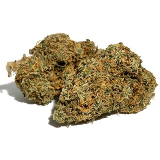 Utopia Haze - Image 2