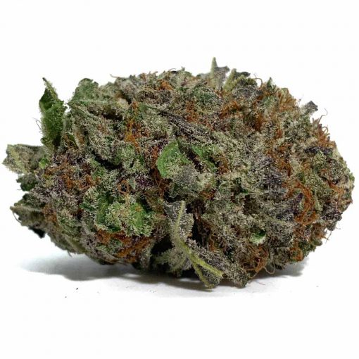 Mango Sherbet