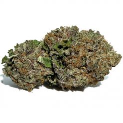Hindu Kush