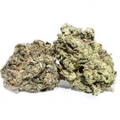 Lindsay OG