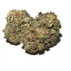 Grease Monkey